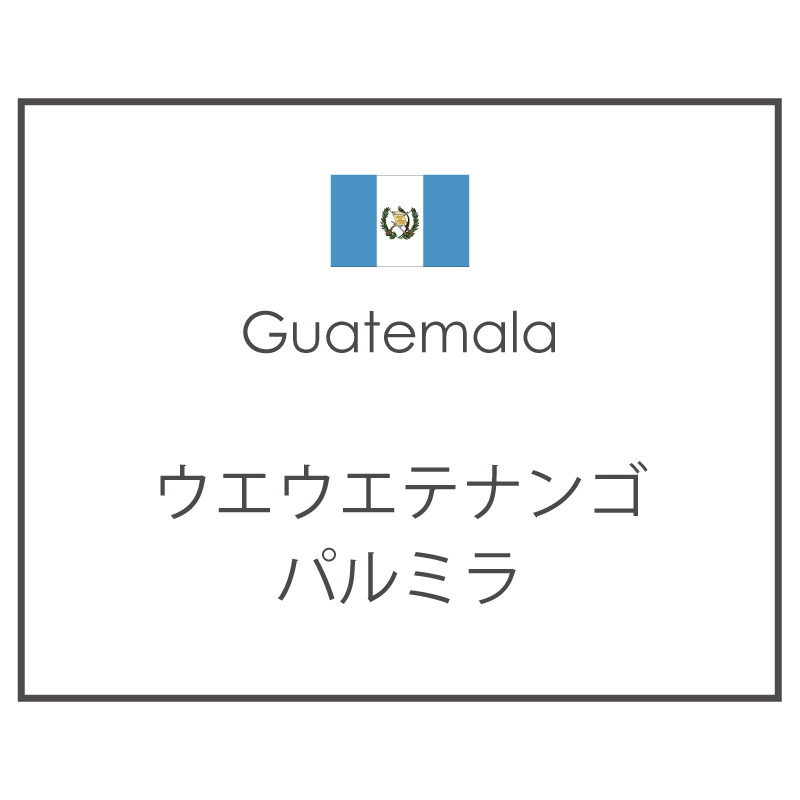 ウエウエテナンゴ パルミラ